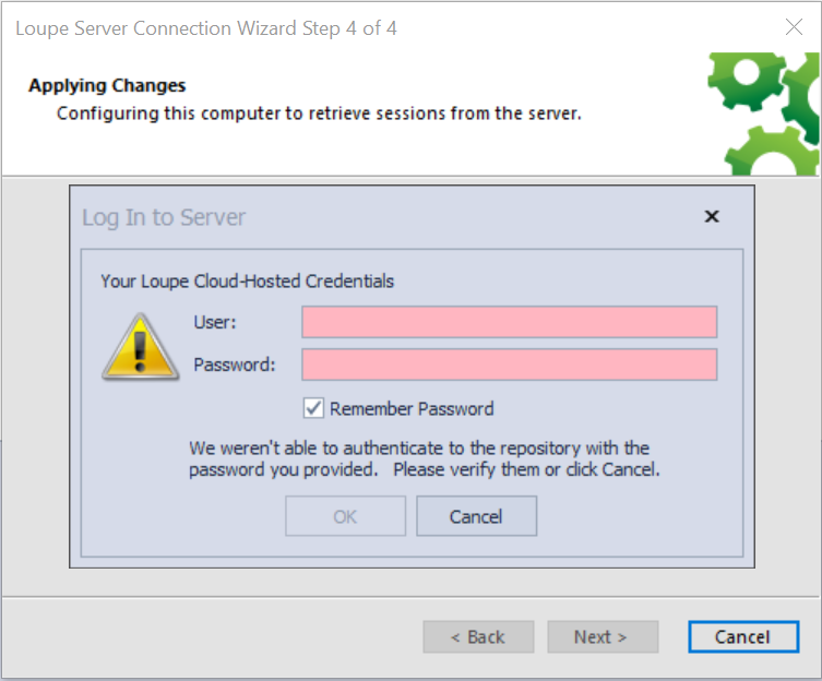 Screenshot of the fourth step in the Loupe Server Connection Wizard