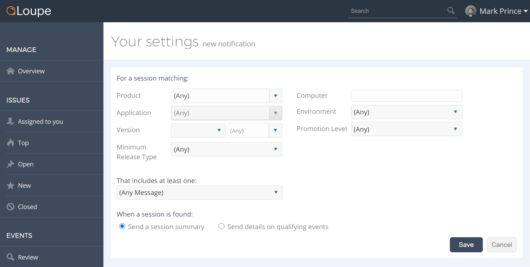 Screenshot of the notification creation menu in the Loupe Server settings menu