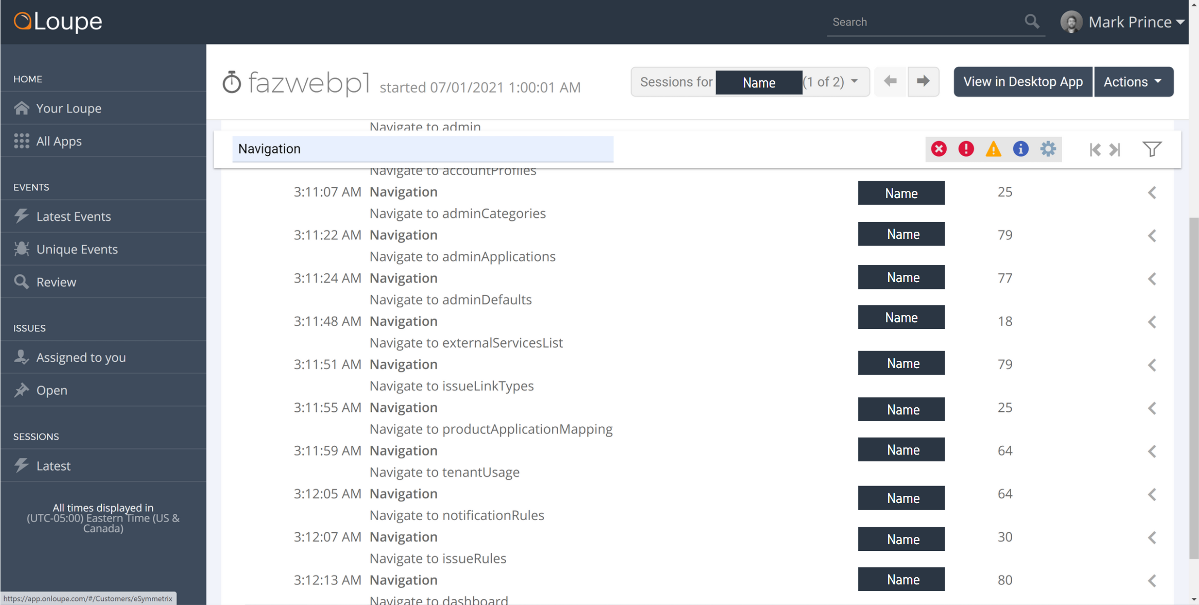 Example of a trial user's first session, with the names blocked out. Shows nagivation to various pages in Loupe