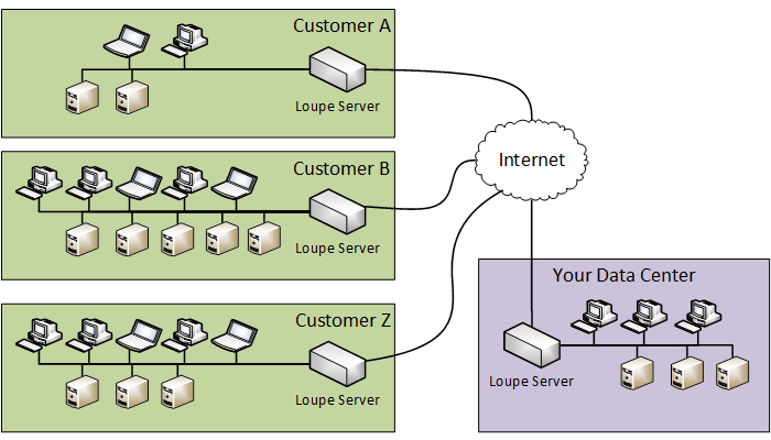 Loupe Server OEM Deployment Scenarios